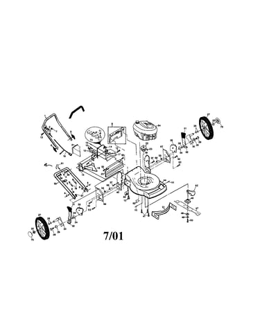Rotary lawn mower