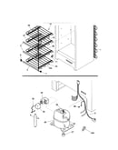 System
