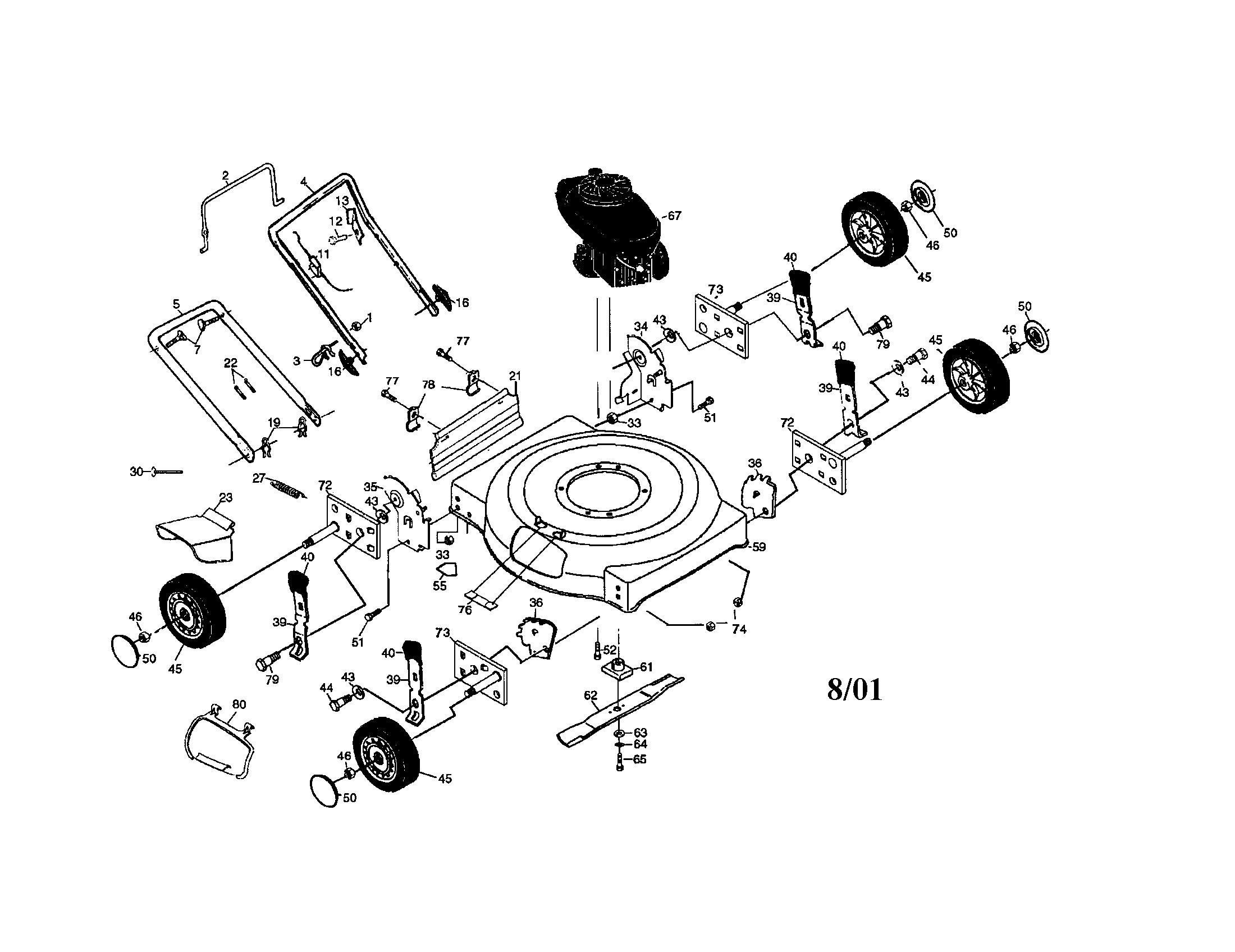 Rotary lawn mower