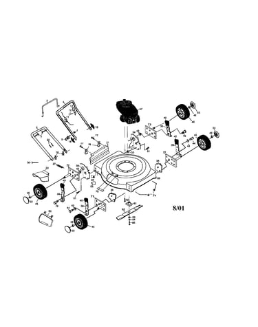 Rotary lawn mower