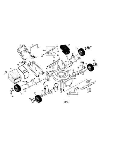 Rotary lawn mower