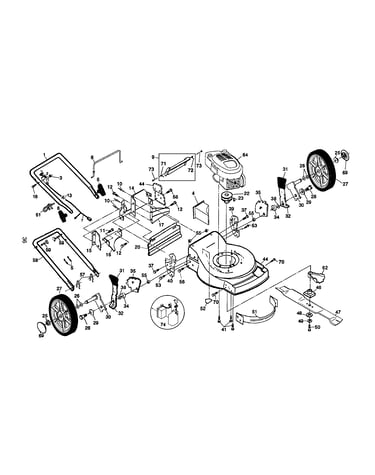 Rotary lawn mower