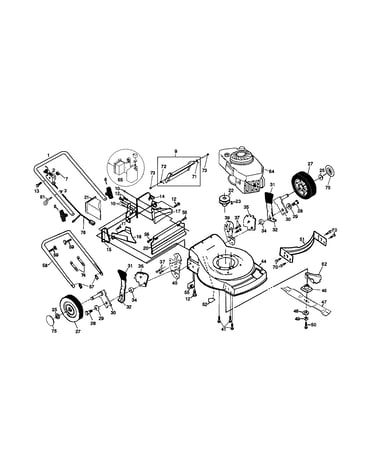 Rotary lawn mower
