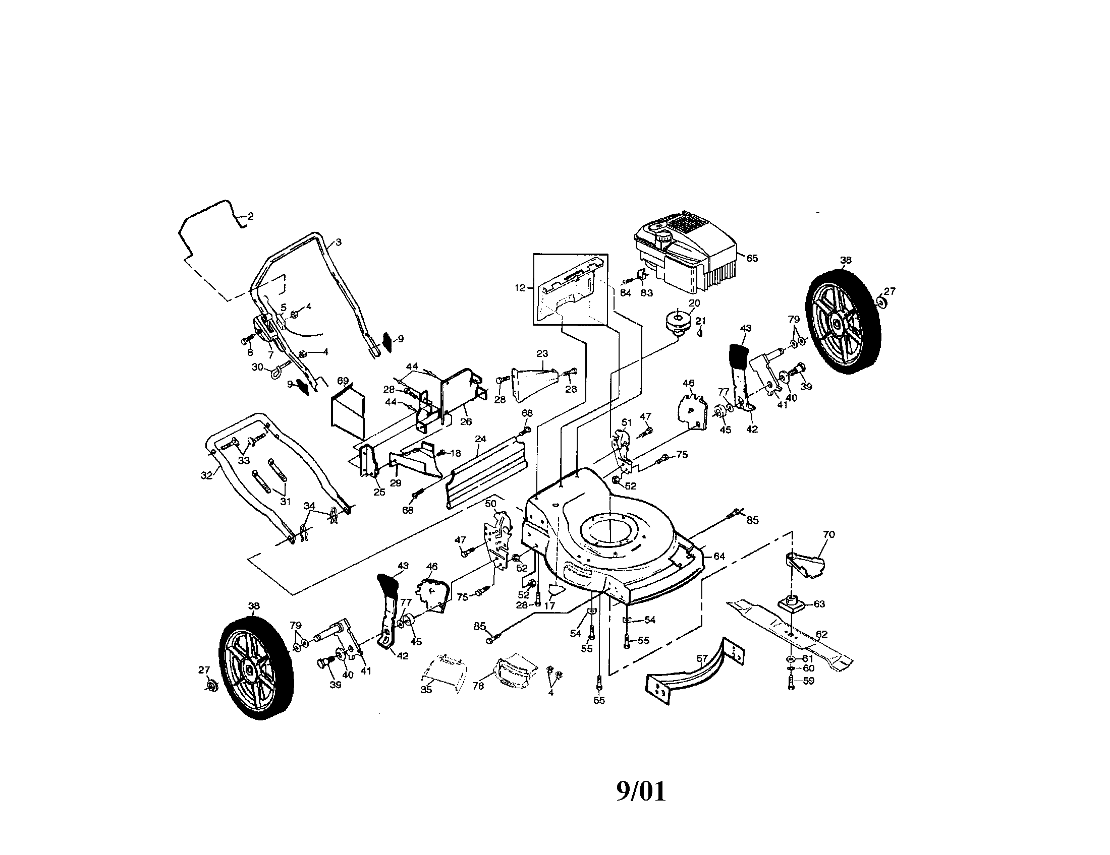 Power propelled rotary lawnmower