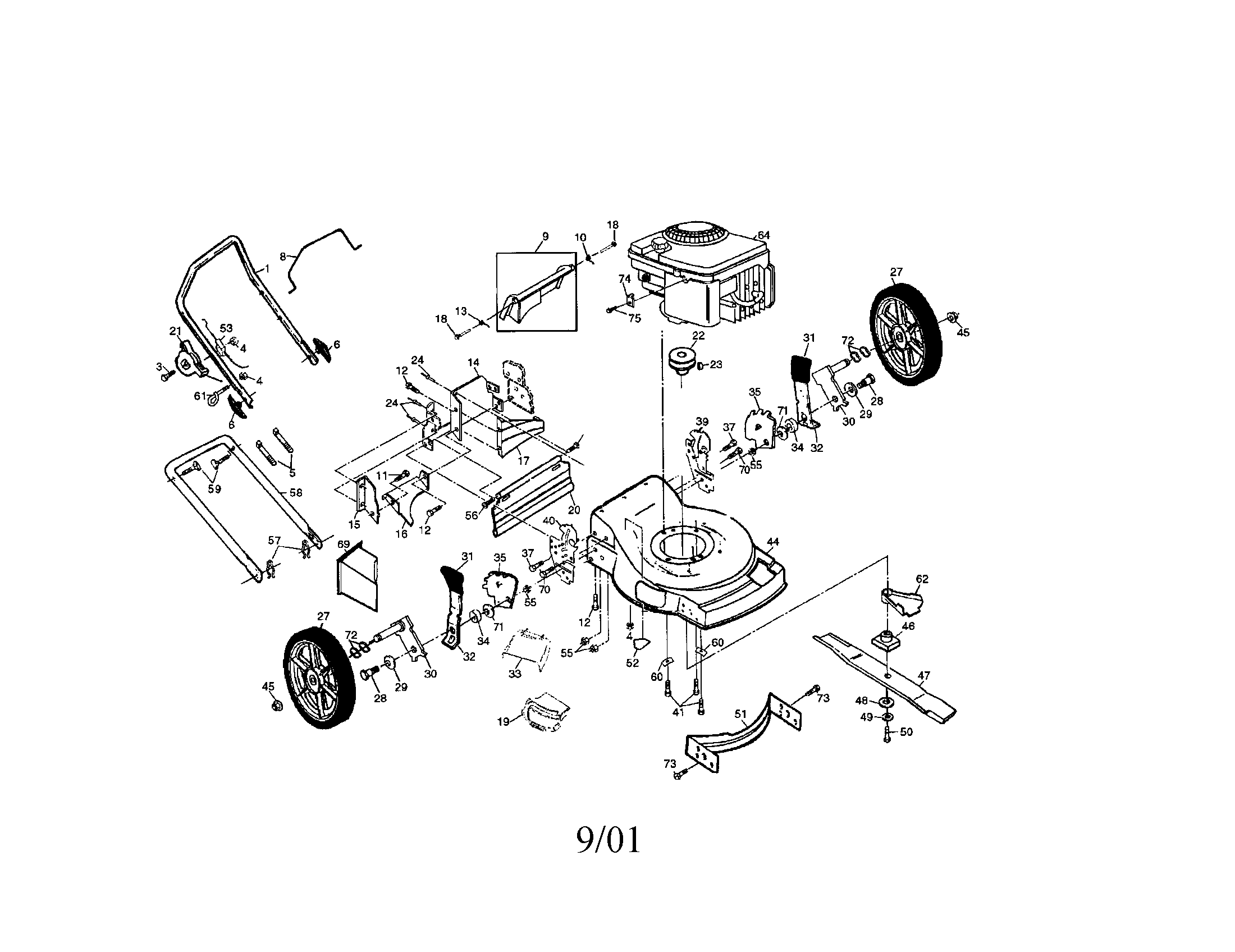 Power propelled rotary lawnmower
