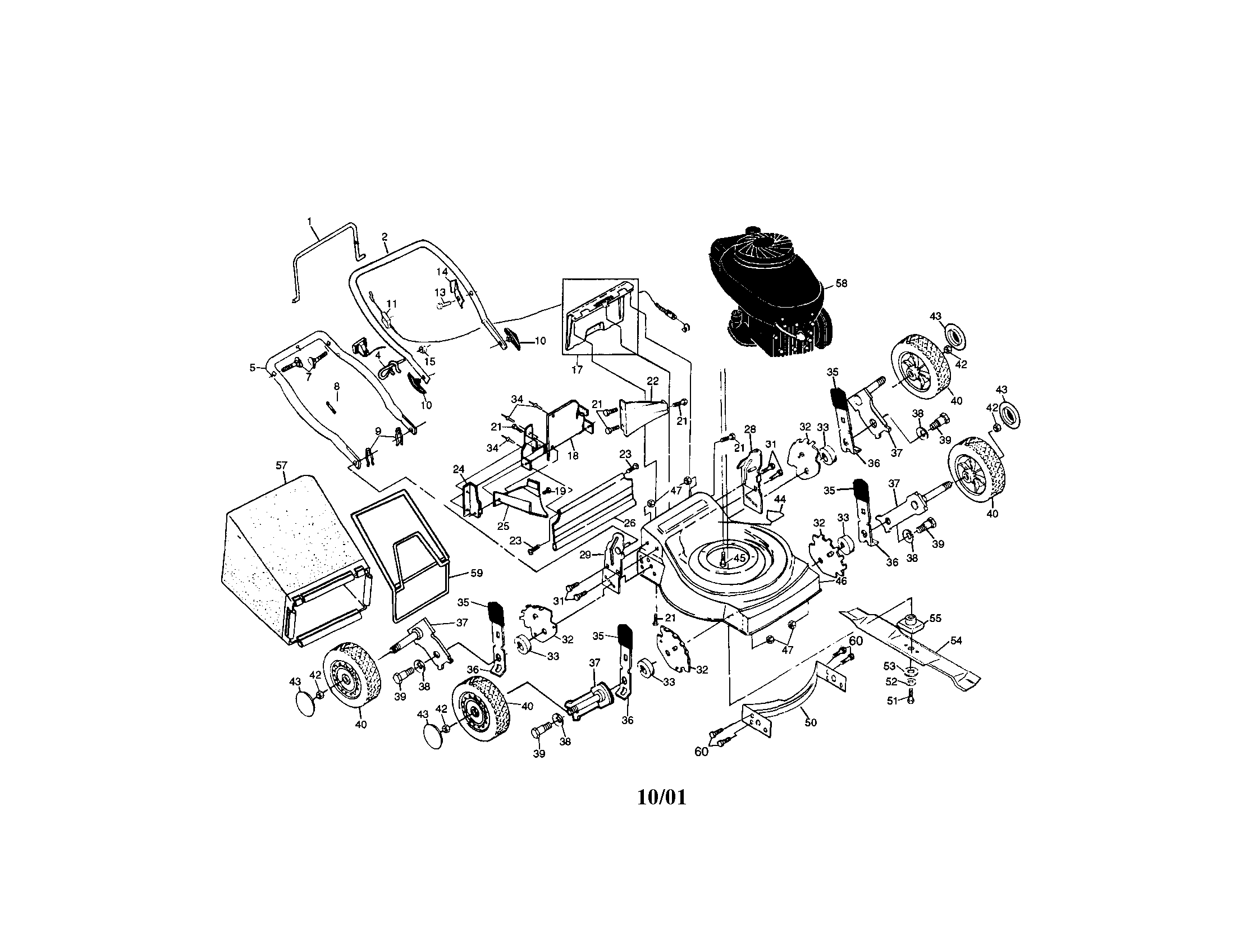 Rotary lawn mower