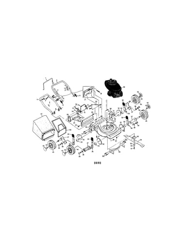 Rotary lawn mower
