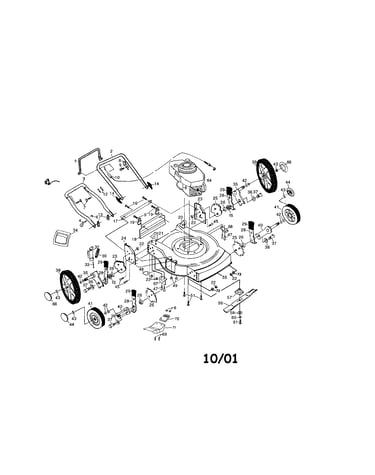 Rotary lawn mower