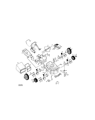 Rotary lawn mower