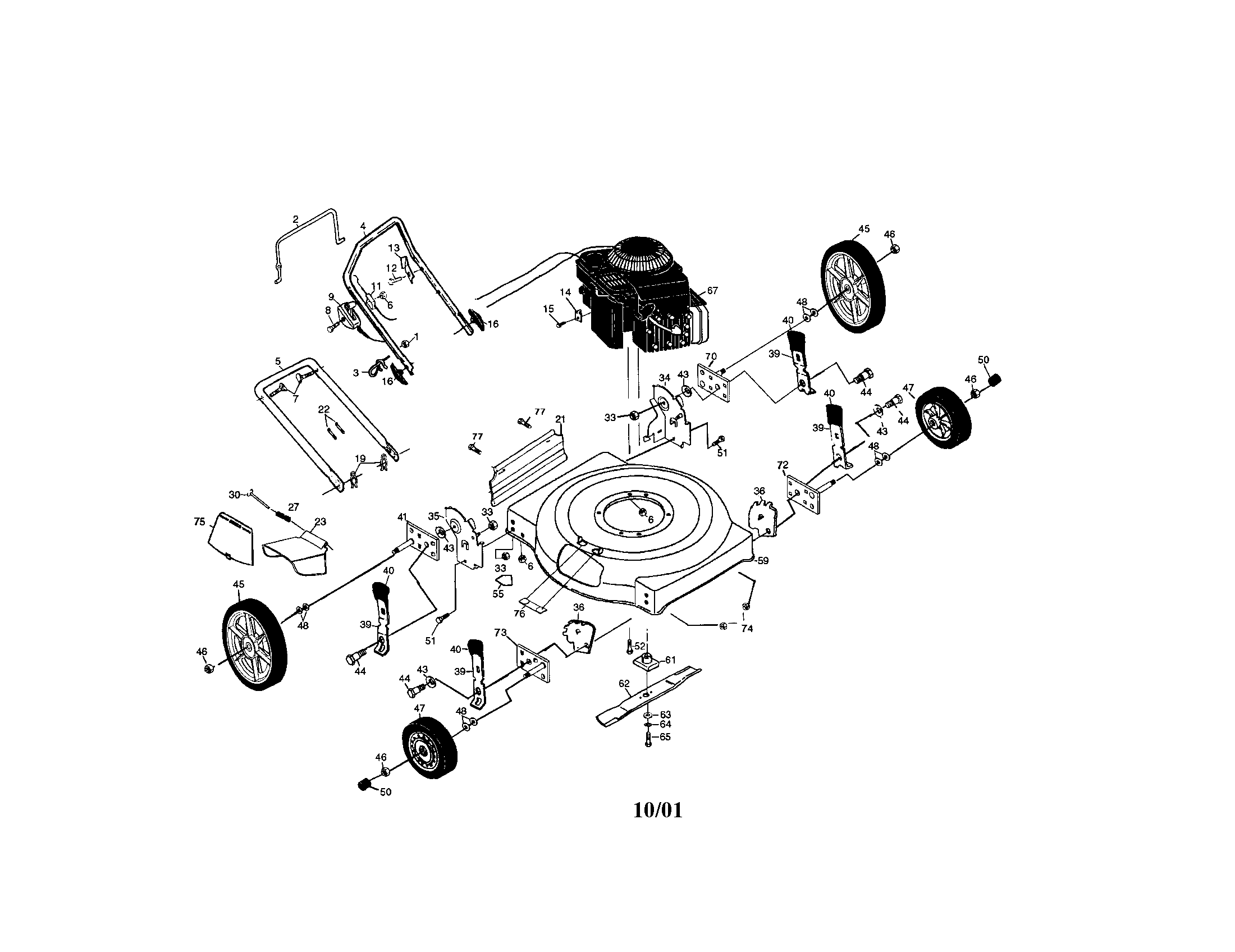 Rotary lawn mower