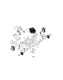 Rotary lawn mower