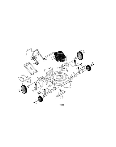 Rotary lawn mower