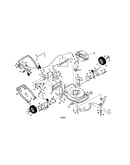 Rotary lawn mower