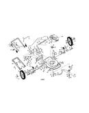 Rotary lawn mower