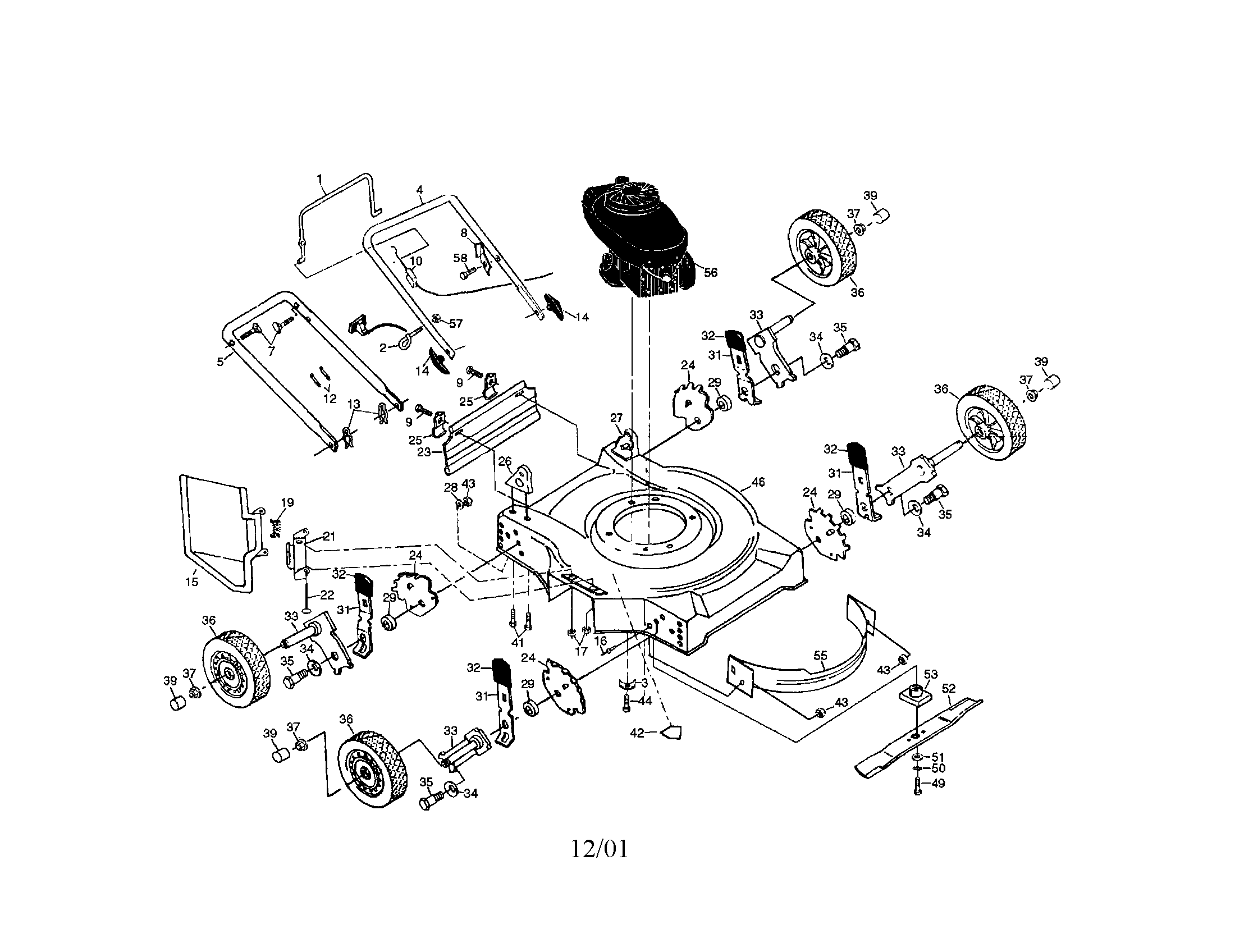 Rotary lawn mower