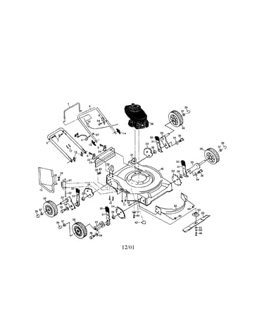 Rotary lawn mower