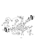 Rotary lawn mower