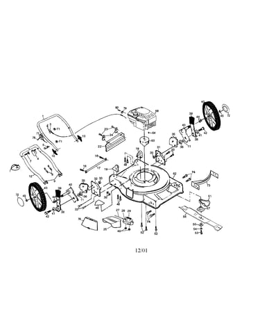 Rotary lawn mower