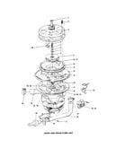 Wash and drain pump unit