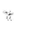 Wire harness and components