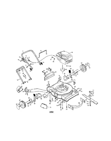 Rotary lawn mower