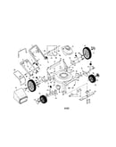 Rotary lawn mower