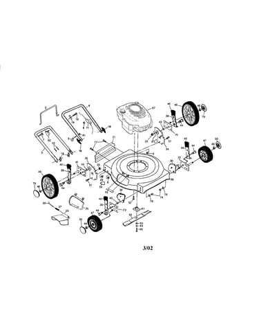Rotary lawn mower