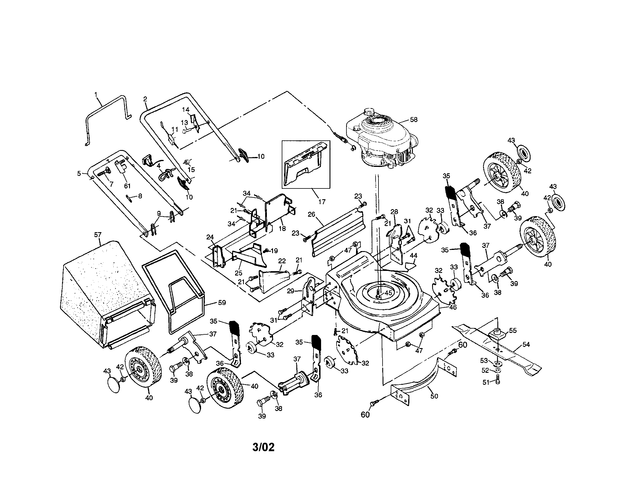 Rotary lawn mower