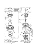 Pump and motor