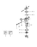 Carburetor assembly (wt598)