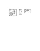 Piston/ring set