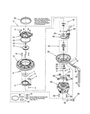 Pump and motor