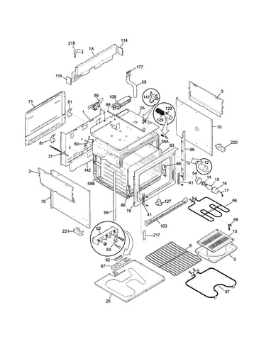Body