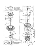 Pump and motor