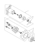 Agitator motor and gear assembly