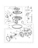 Pump and motor