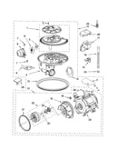 Pump and motor