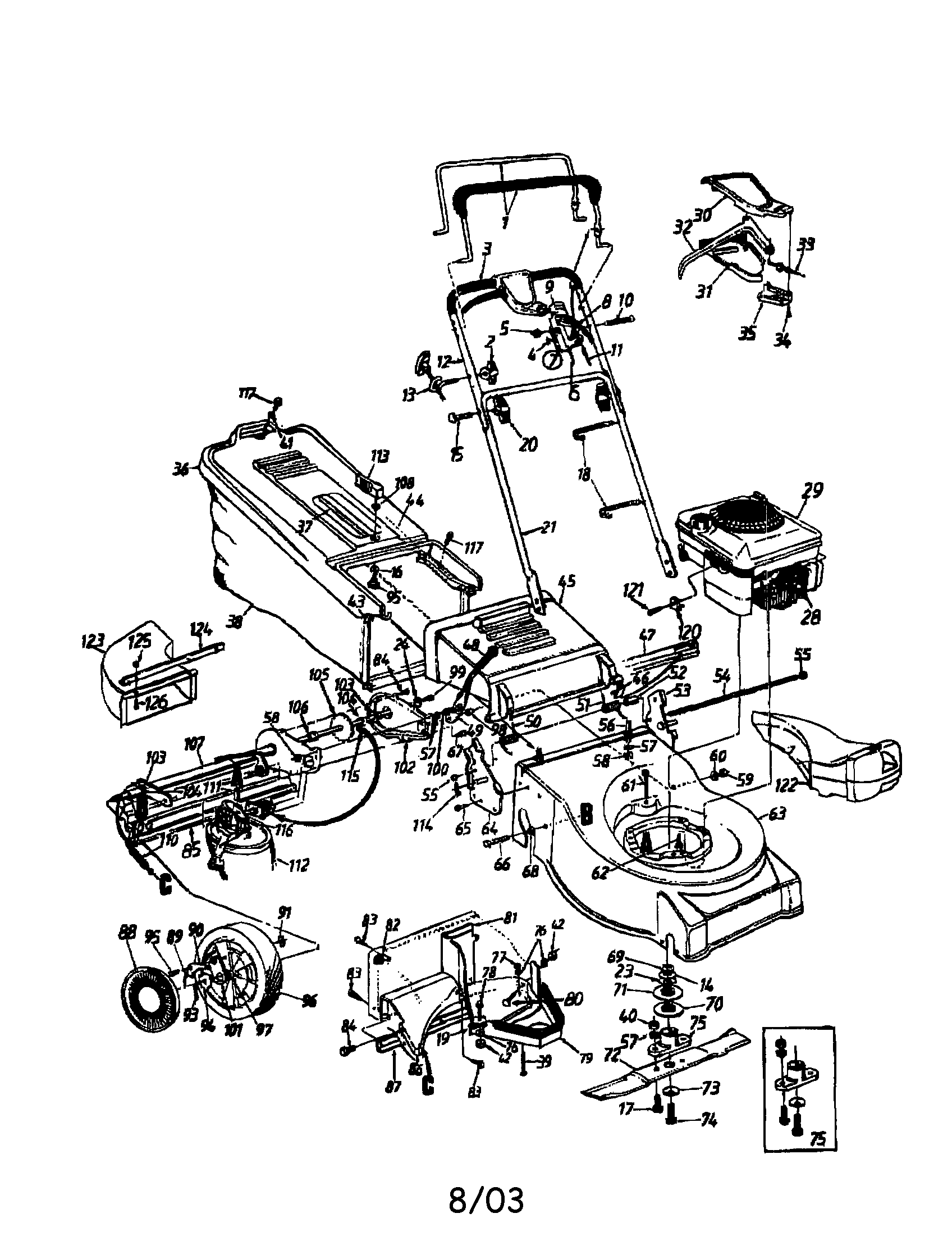 Rotary lawn mower
