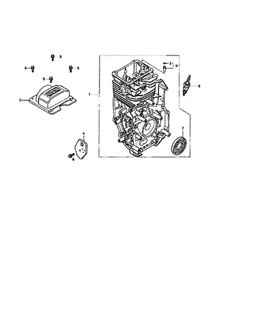 Cylinder barrel