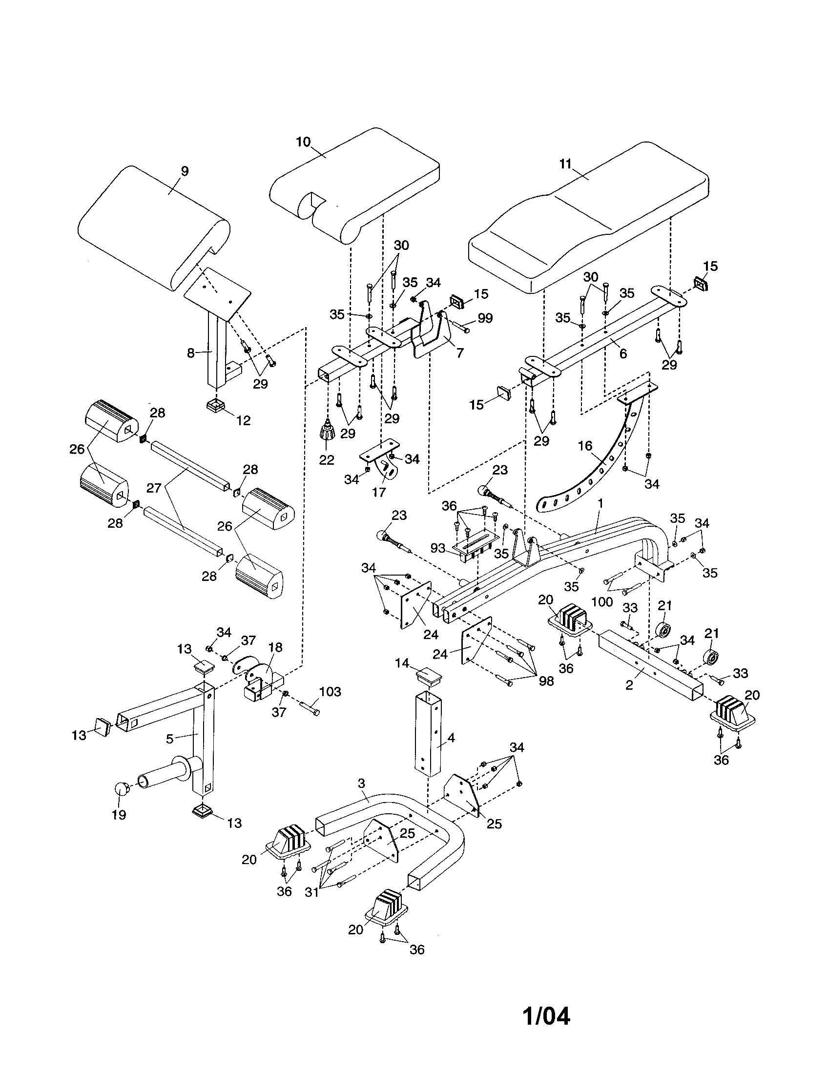 Bench frame/backrest/curl pad