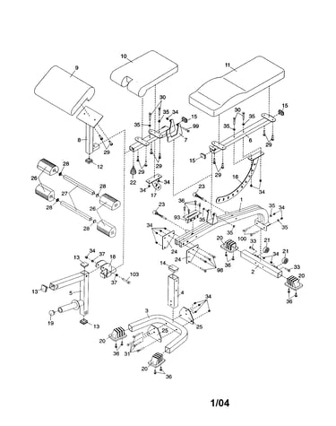 Bench frame/backrest/curl pad