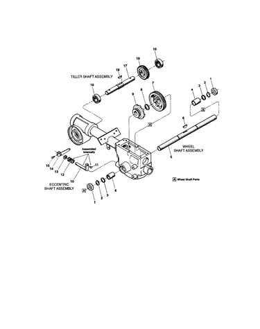 Oil seal/wheel shaft