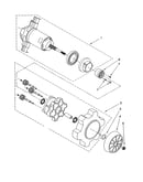 Agitator motor and gear