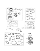 Starter-rewind/blower housing