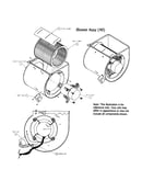 Blower assembly