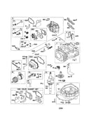 Cylinder/cylinder-head