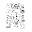 Briggs & Stratton 446677-0470-E1 cylinder/crankshaft diagram