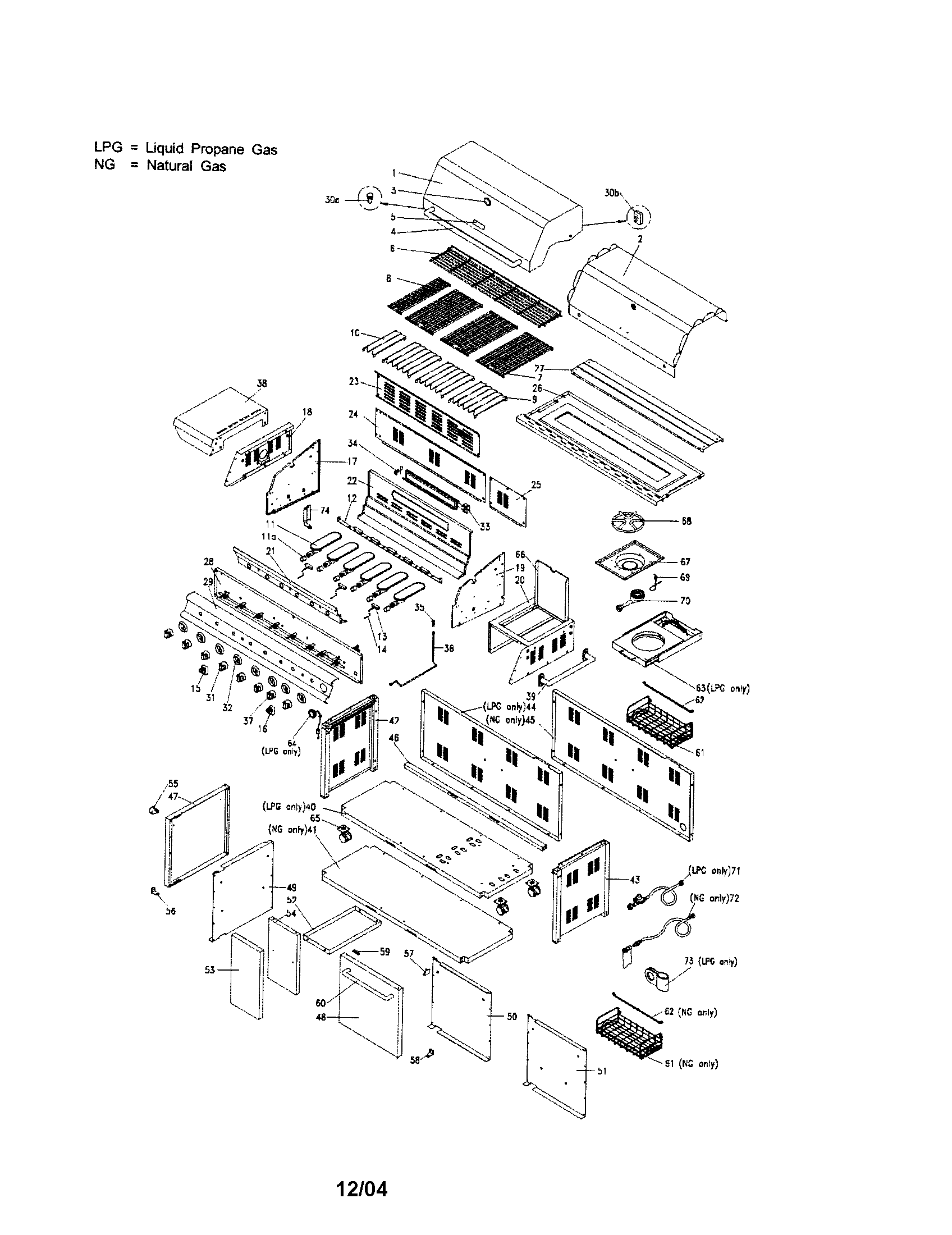 Gas grill