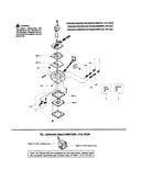 Carburetor(s)