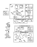 Carburetor/overhaul kit/gasket set